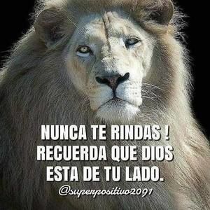 Meet your Posher, Manuel